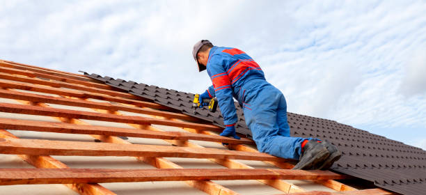 Best Roof Maintenance and Cleaning  in Triangle, VA